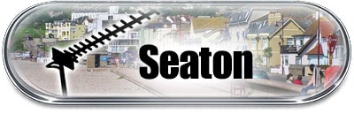 Aerial services in Seaton